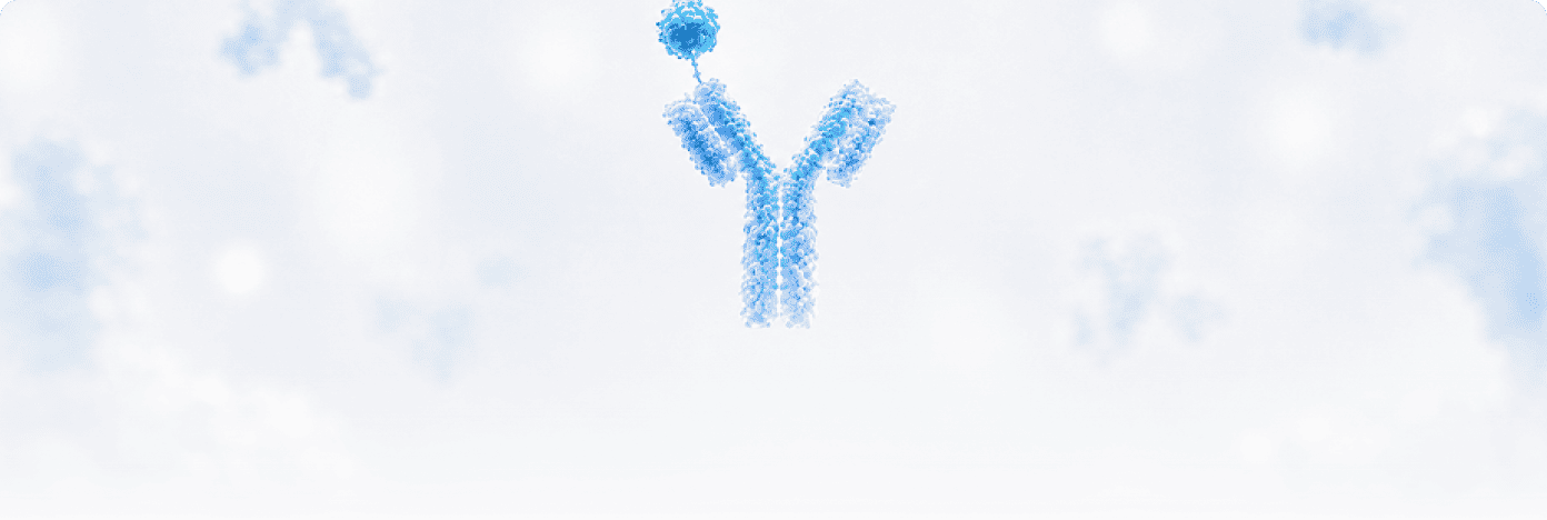 Anti-Tag Antibodies